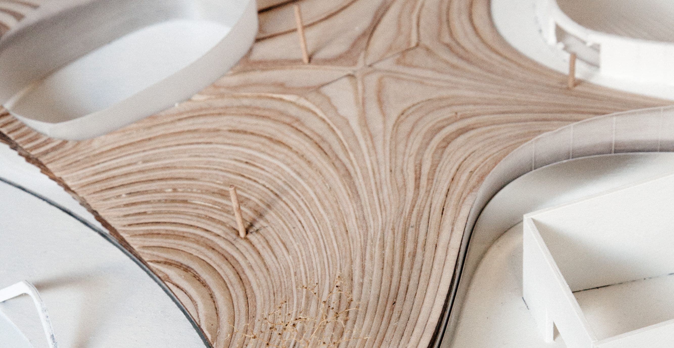 Camellia Circus — model, the timber landscape