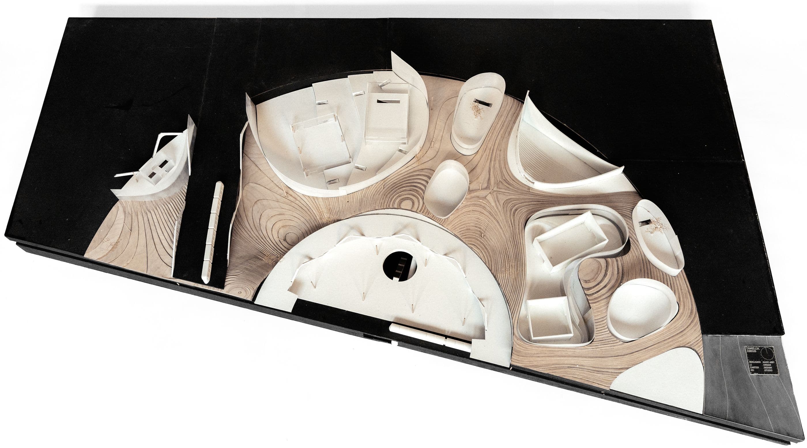 Camellia Circus — model, overall with the timber landscape
