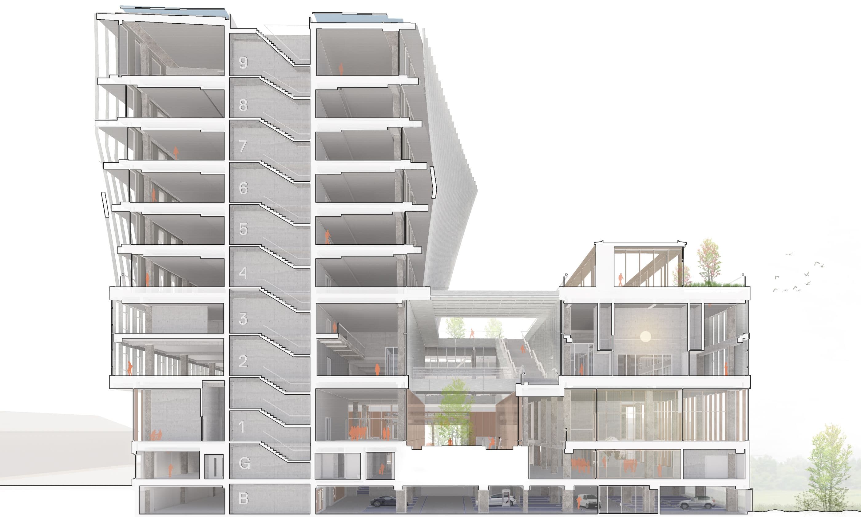 Maritime Campus Antwerp — cross-section perspective