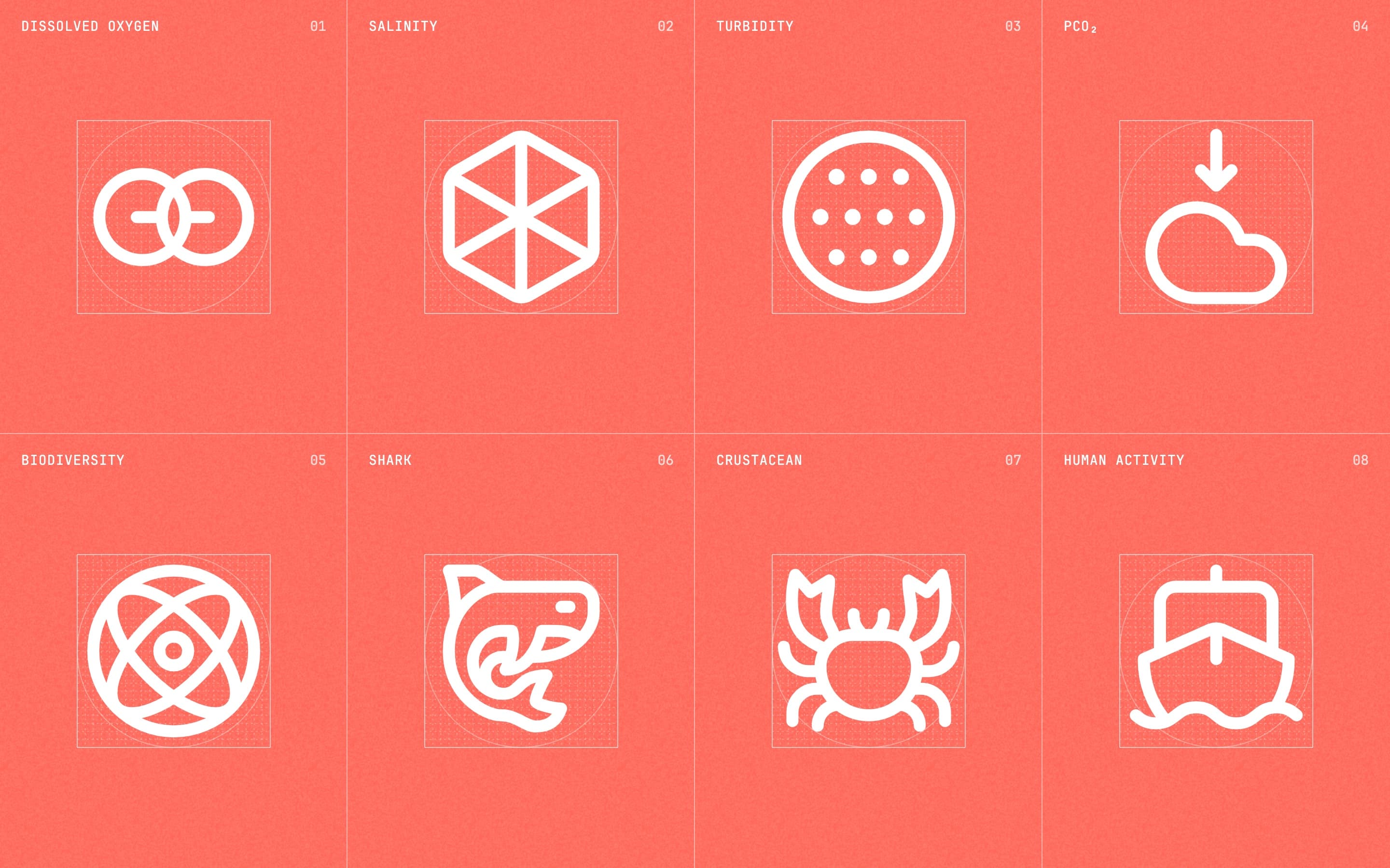 Icon spread on coral, two rows of four on guide grids: dissolved oxygen, salinity, turbidity, pCO₂, biodiversity, shark, crustacean and human activity.
