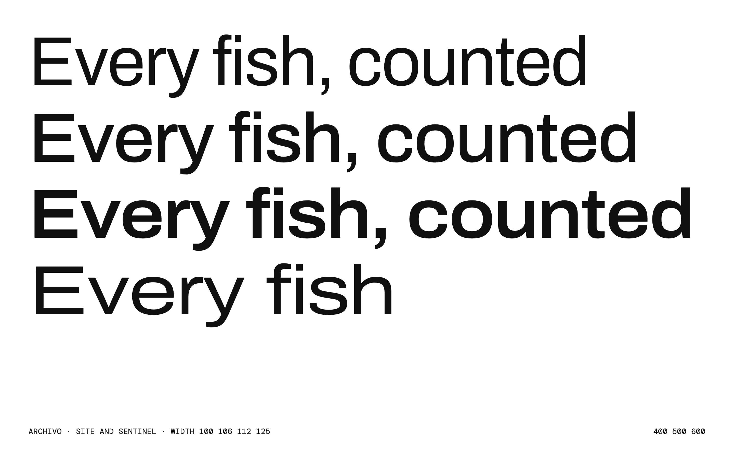 Archivo on white: Every fish, counted, set four times, each line wider than the last along the width axis.